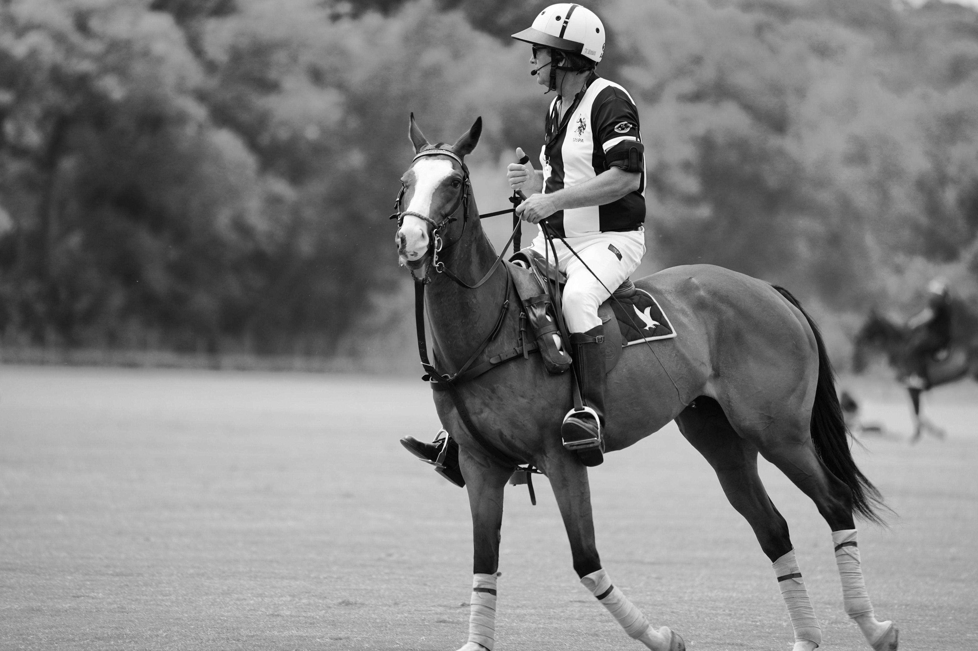 Black and white polo scene